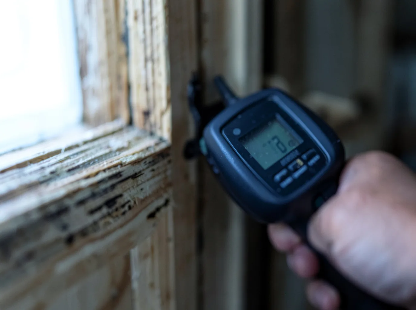Moisture Inspection And Documentation in Newburg, MO